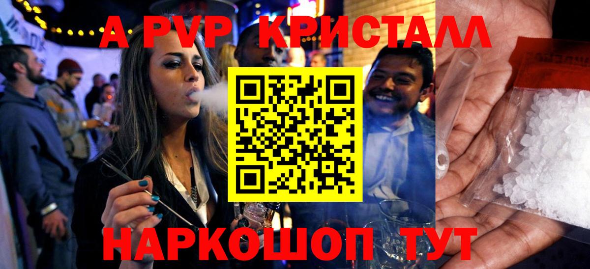 Артём  А ПВП крисы CK  Вход с VPN  Alfa_PVP СК 