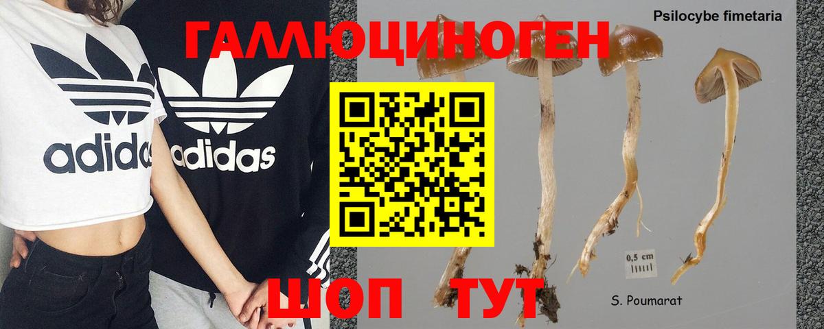 Меф мяу мяу Артём